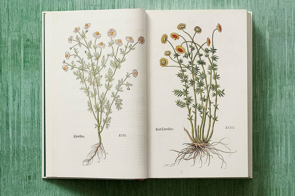 Leonhart Fuchs. The New Herbal: Dressendörfer, Werner